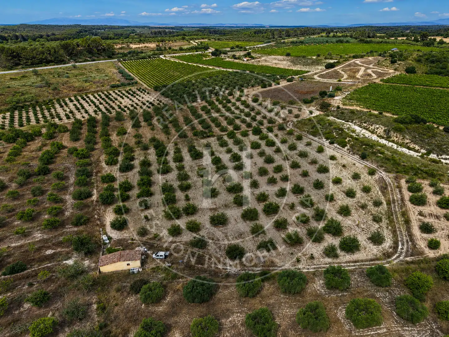 Land for sale in La Secuita