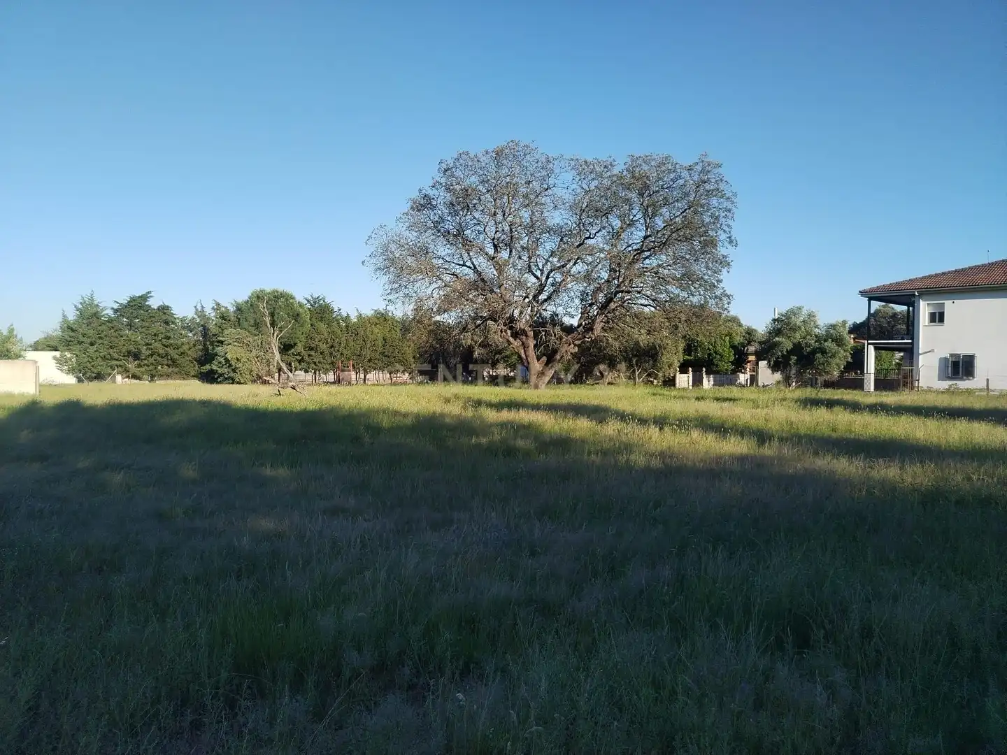 Terreni e lotti in vendita a Pasaje Monte del Casar, 52, 10190 Casar de Cáceres, Cáceres, Spain, imagen 8