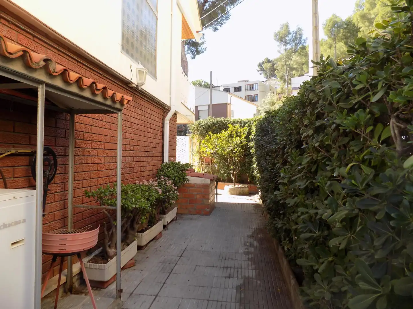 Casa amb terrassa en venda a Miramar, imagen 18