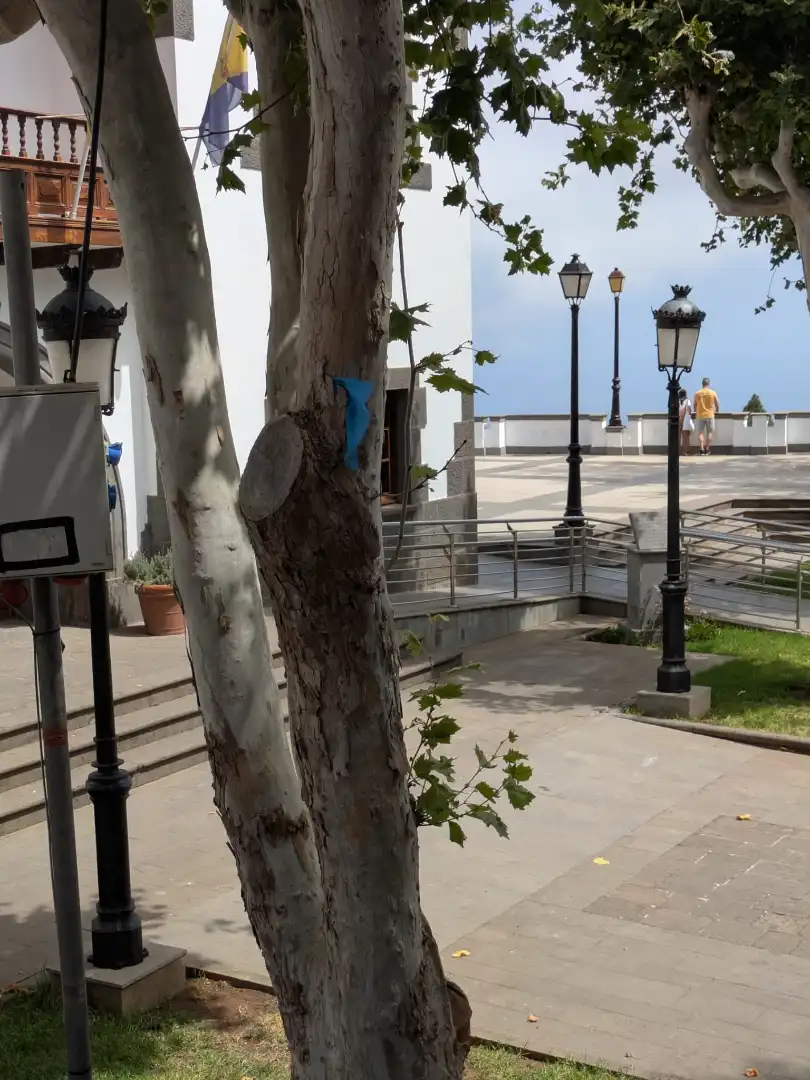 Vista exterior de Casa adosada en venda en Firgas amb Jardí privat, Terrassa i Balcó