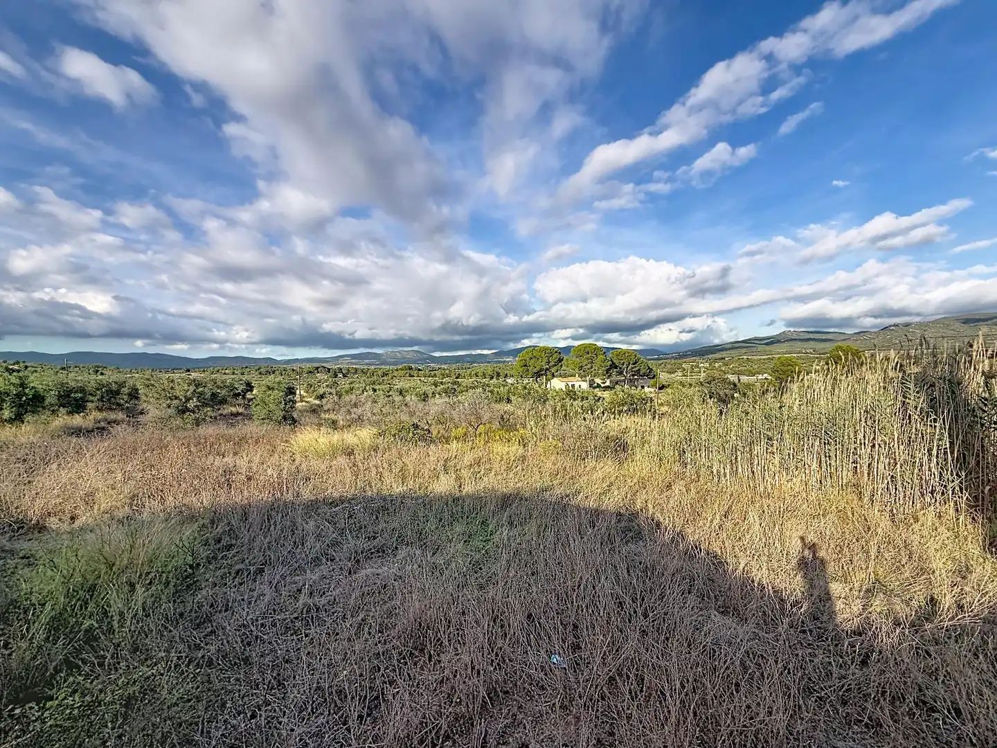 Finca rústica en venta en Castalla, Alicante