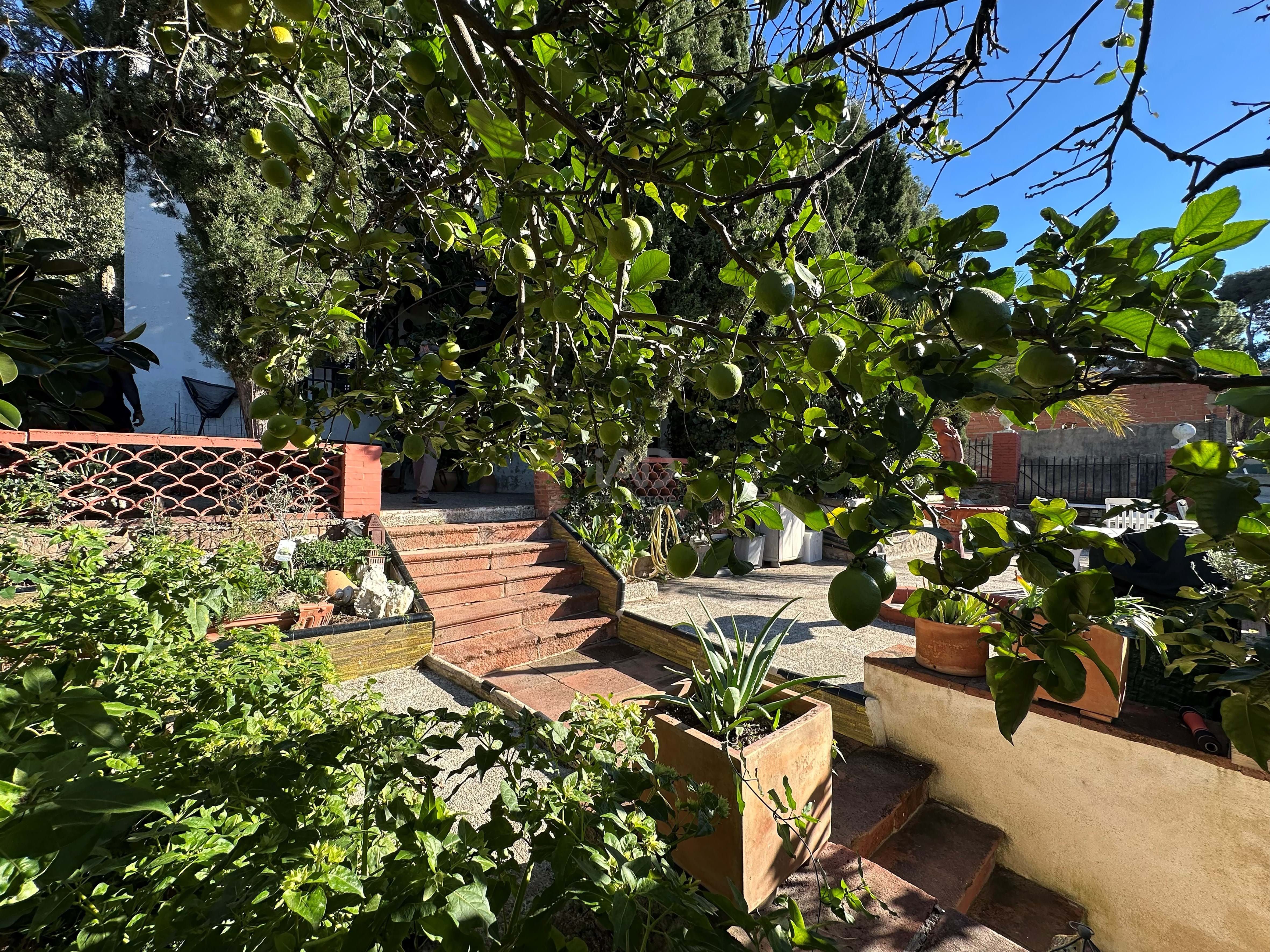 Jardí de Casa o xalet en venda en  Barcelona Capital amb Terrassa