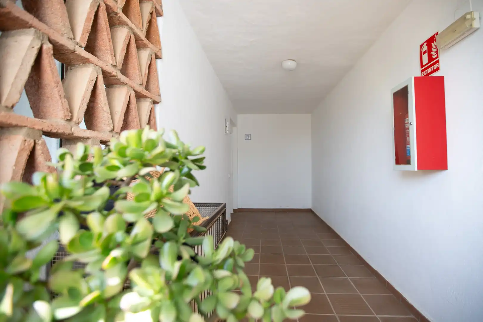 Penthouse with pool for sale in Milla de Oro, imagen 36
