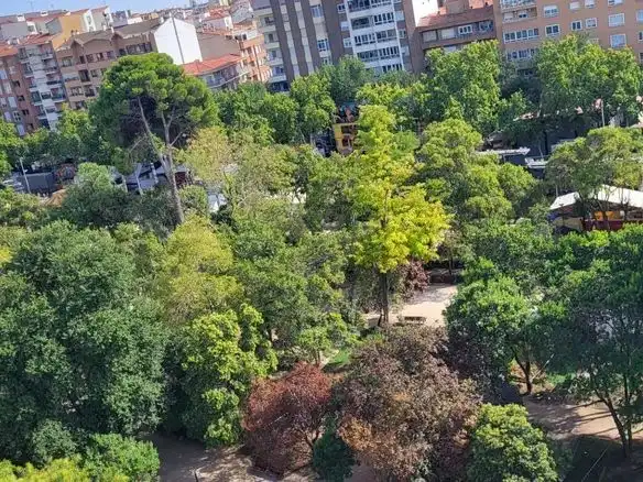 Vista exterior de Piso de alquiler en Feria
