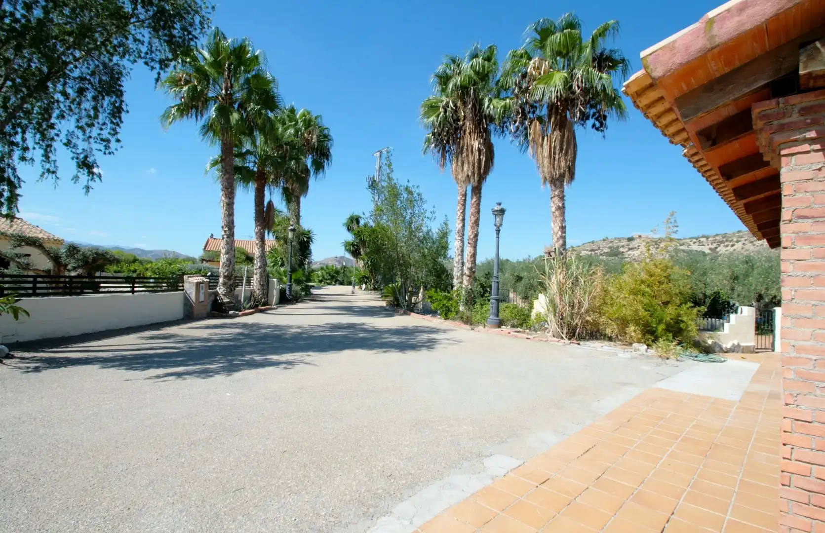 Vista exterior de Casa o chalet en venta en Cantoria con Jardín privado, Terraza y Piscina