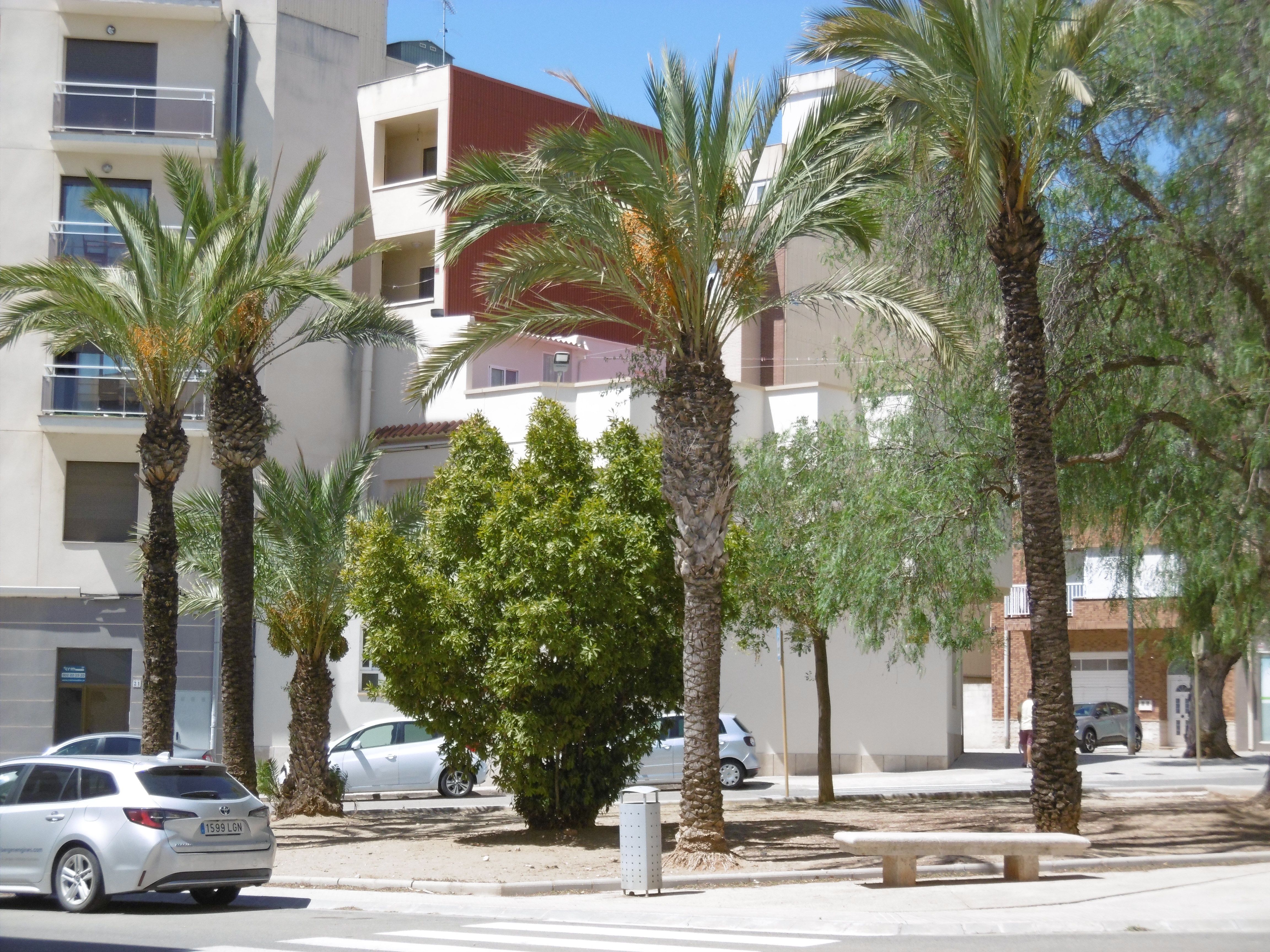 Exterior view of Planta baja for sale in Sant Carles de la Ràpita  with Furnished, Oven and Washing machine
