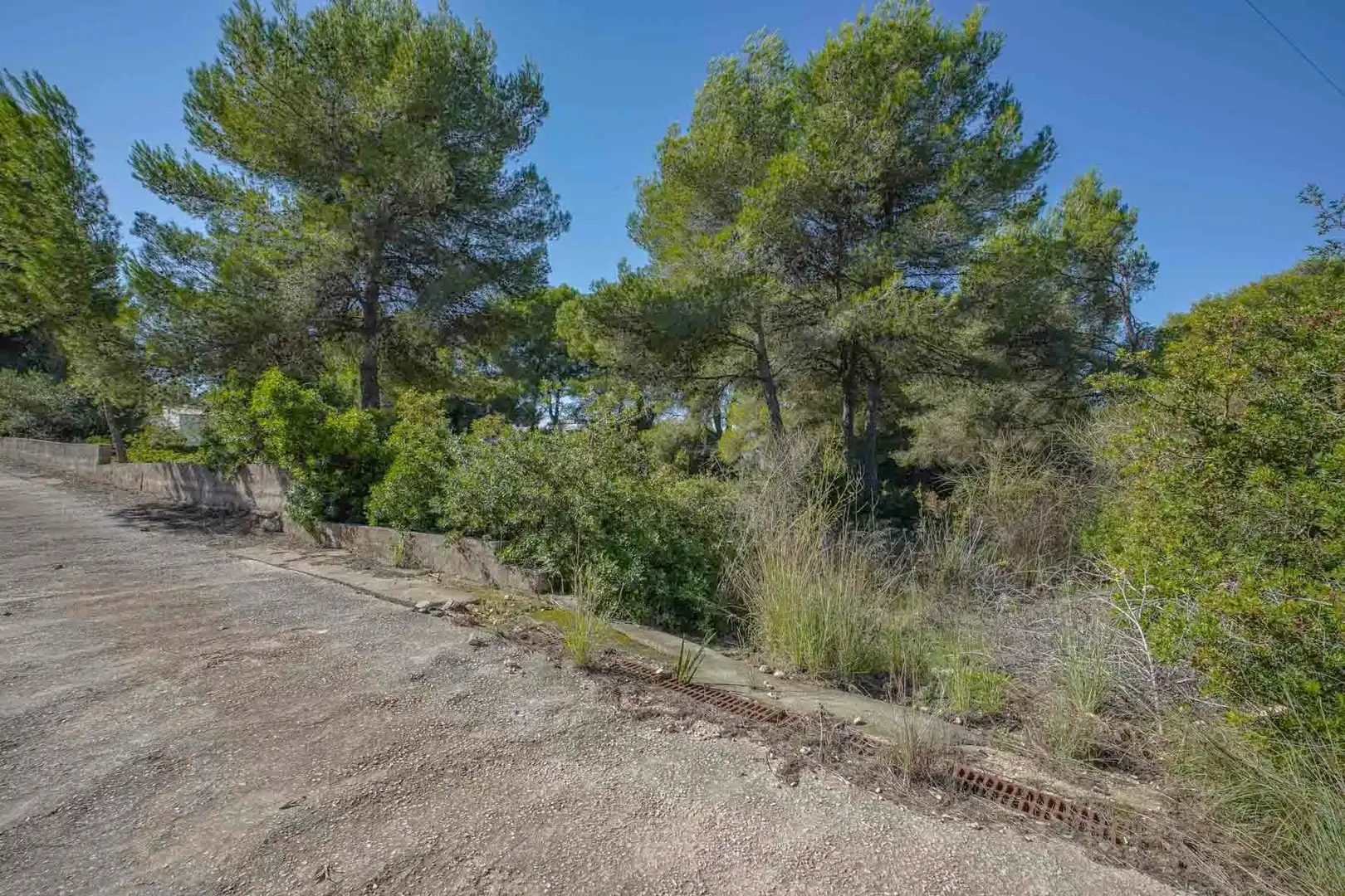 Residential land for sale in Centro ciudad, imagen 5