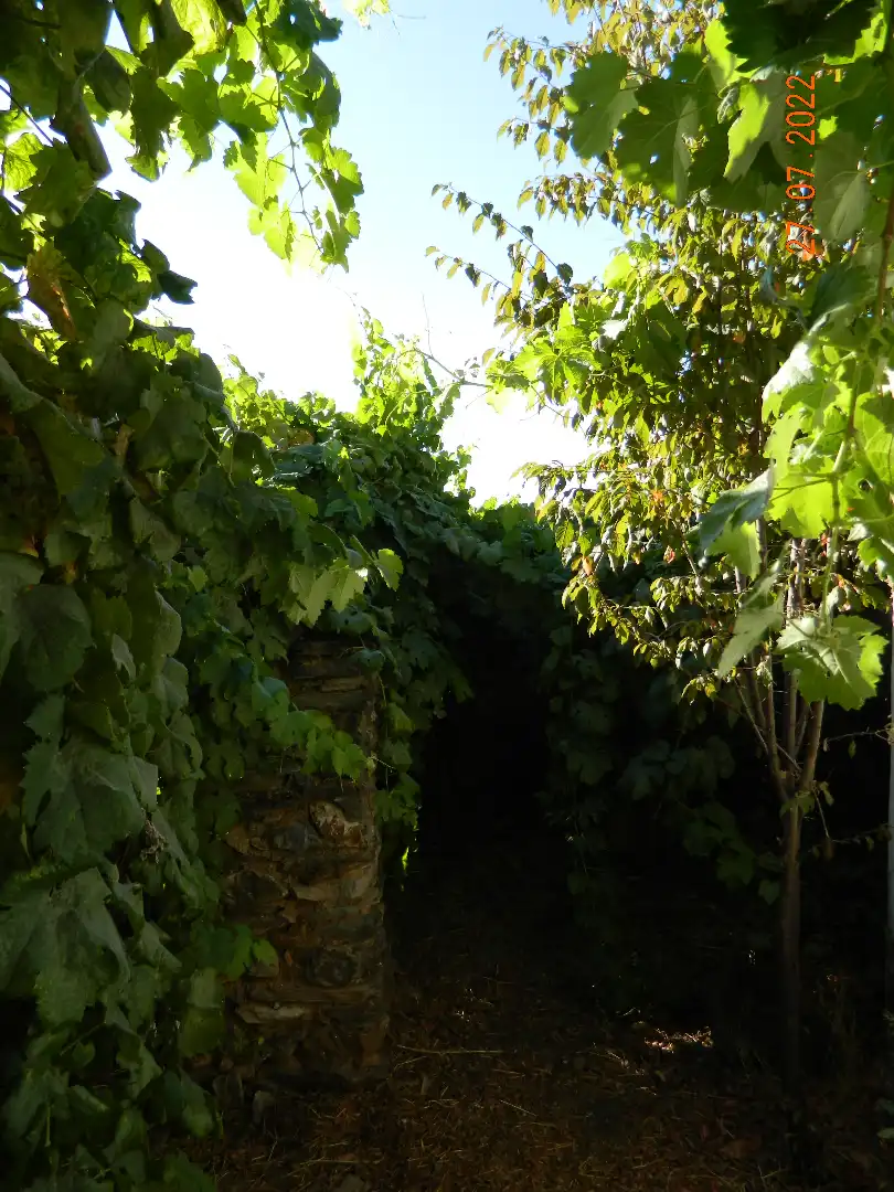 Reihenhaus mit Garten zum Verkauf in Calle Mártires 12, imagen 14