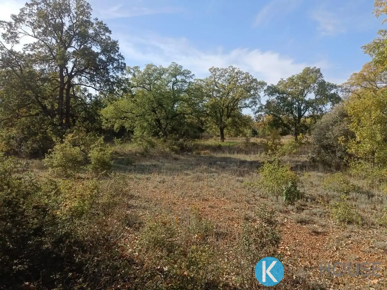 Land for sale in Pastrana