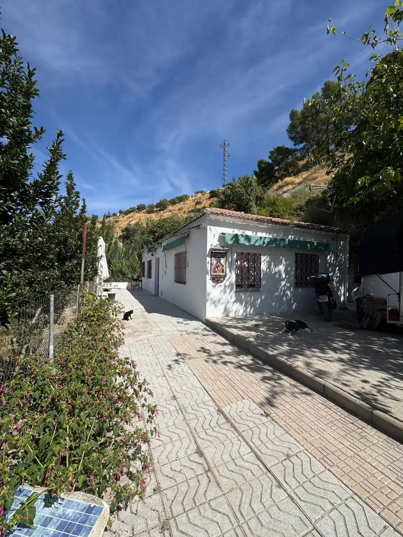 Detached house with pool for sale in Camino de las Huertas Grandes, imagen 4