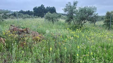 Foto 2 de Finca rústica en venda a Puebla de Obando, Badajoz