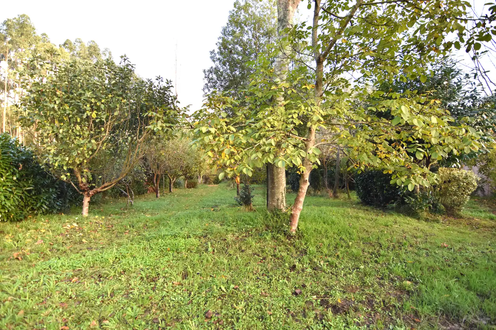 Houses for sale in Narón  with Heating, Private garden and Storage room
