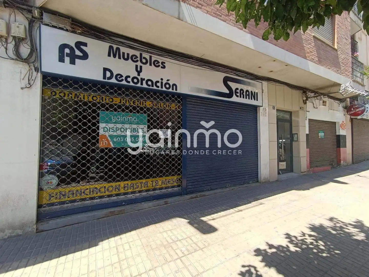 Business premises to rent in Jaén - CL MILLAN DE PRIEGO, imagen 3