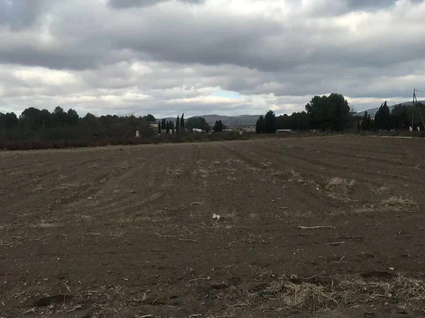 Grundstücke zum Verkauf in Villena