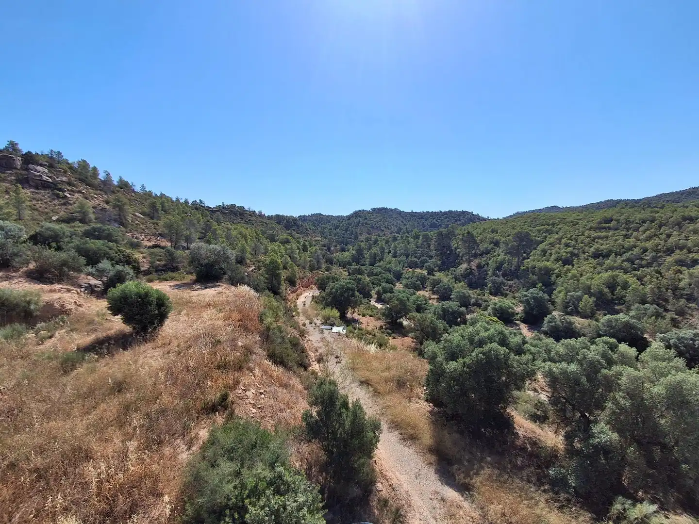 Finca rústica en venda en Riba-roja d'Ebre