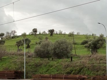Terreni e lotti in vendita a A3