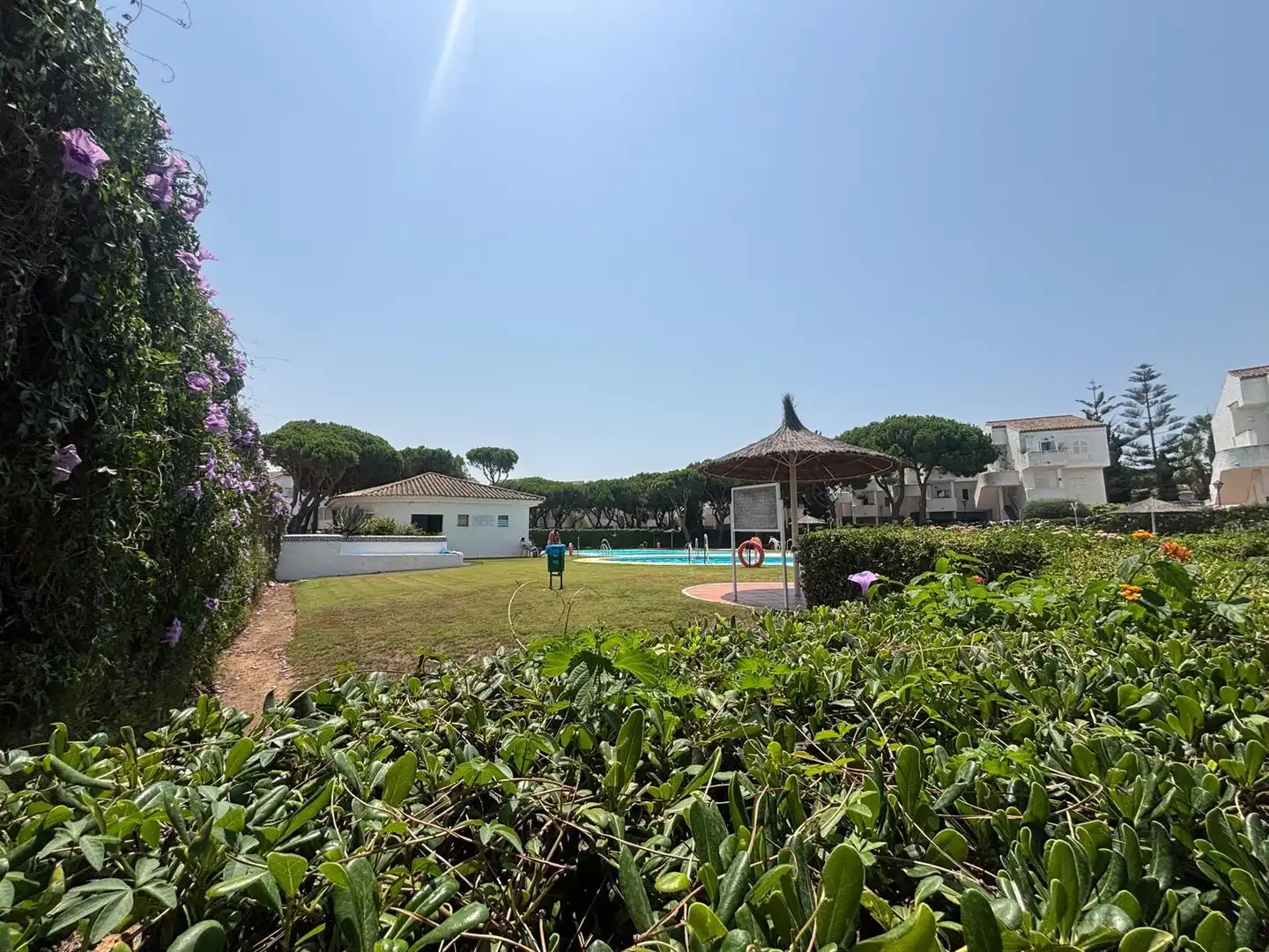 Jardí de Casa adosada en venda en Chiclana de la Frontera amb Jardí privat i Piscina comunitària