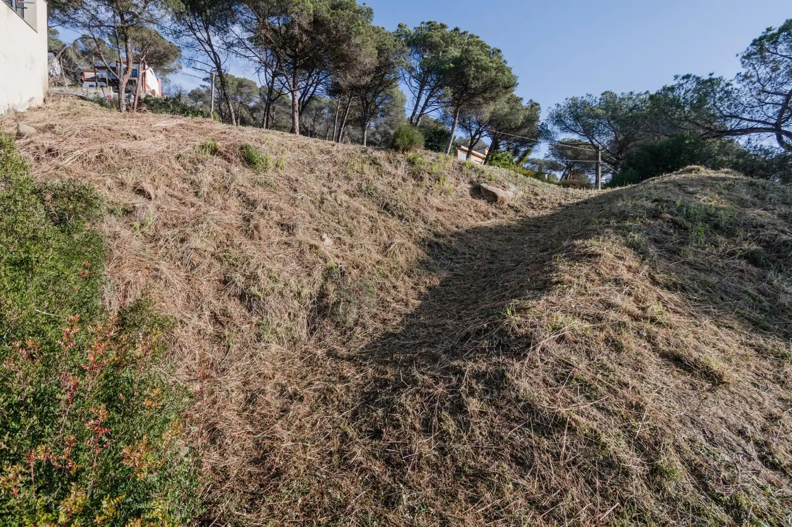 Terreno residenziale in vendita a Dosrius poble, imagen 15