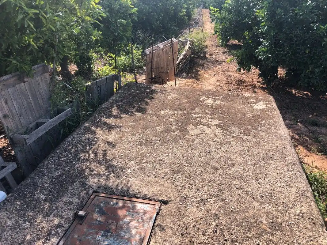 Terreny rústic en venda a Palma de Gandia, imagen 26