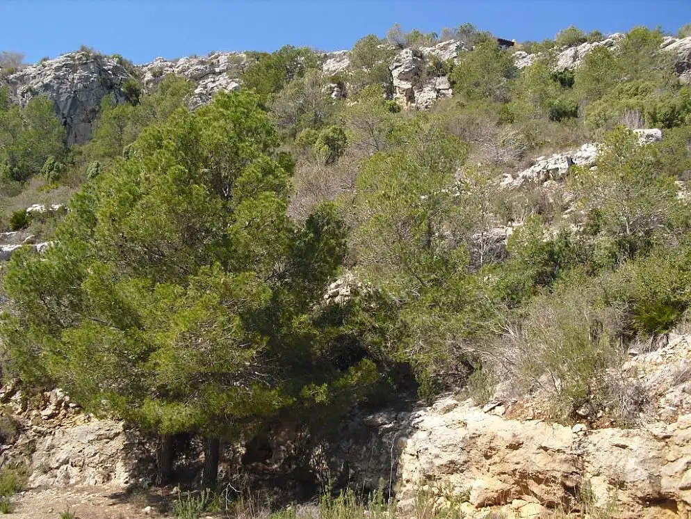 Rural land for sale in C/ Farigola, imagen 9