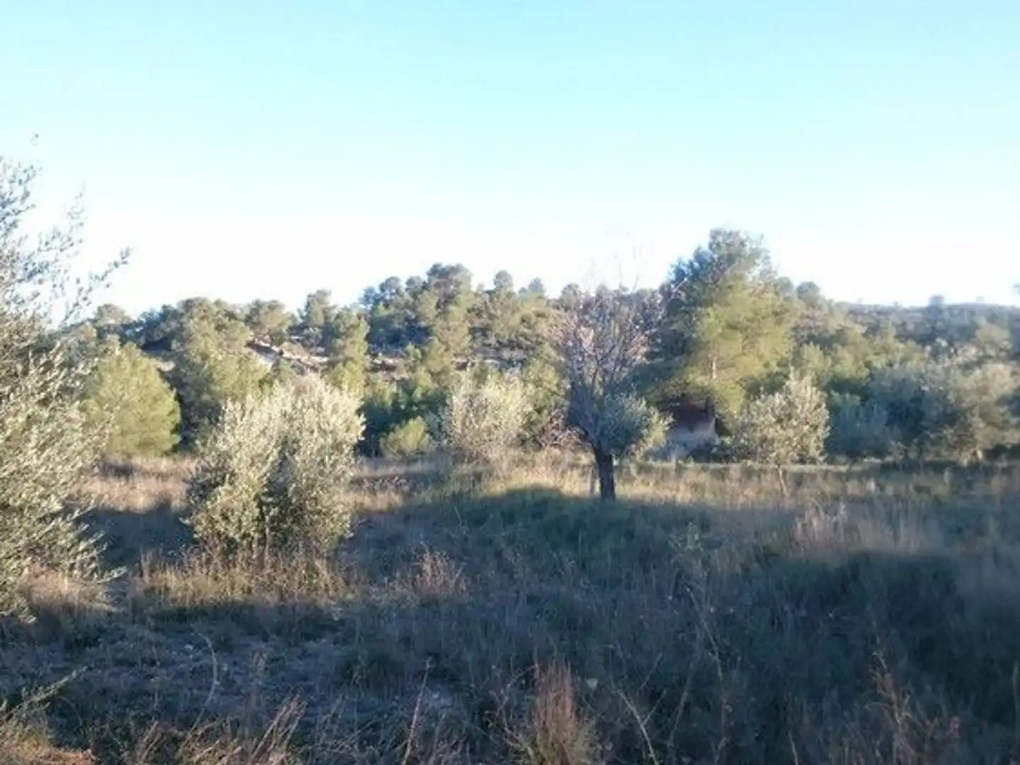 Terreni e lotti in vendita a Moratalla, imagen 10