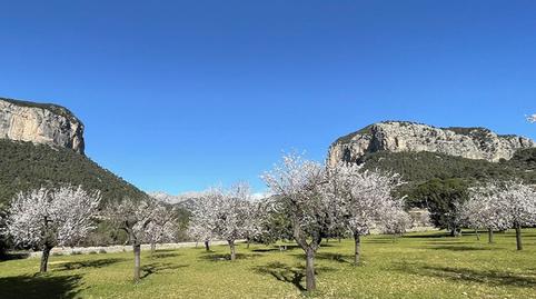 Foto 2 de Residencial en venda a Binissalem, Illes Balears