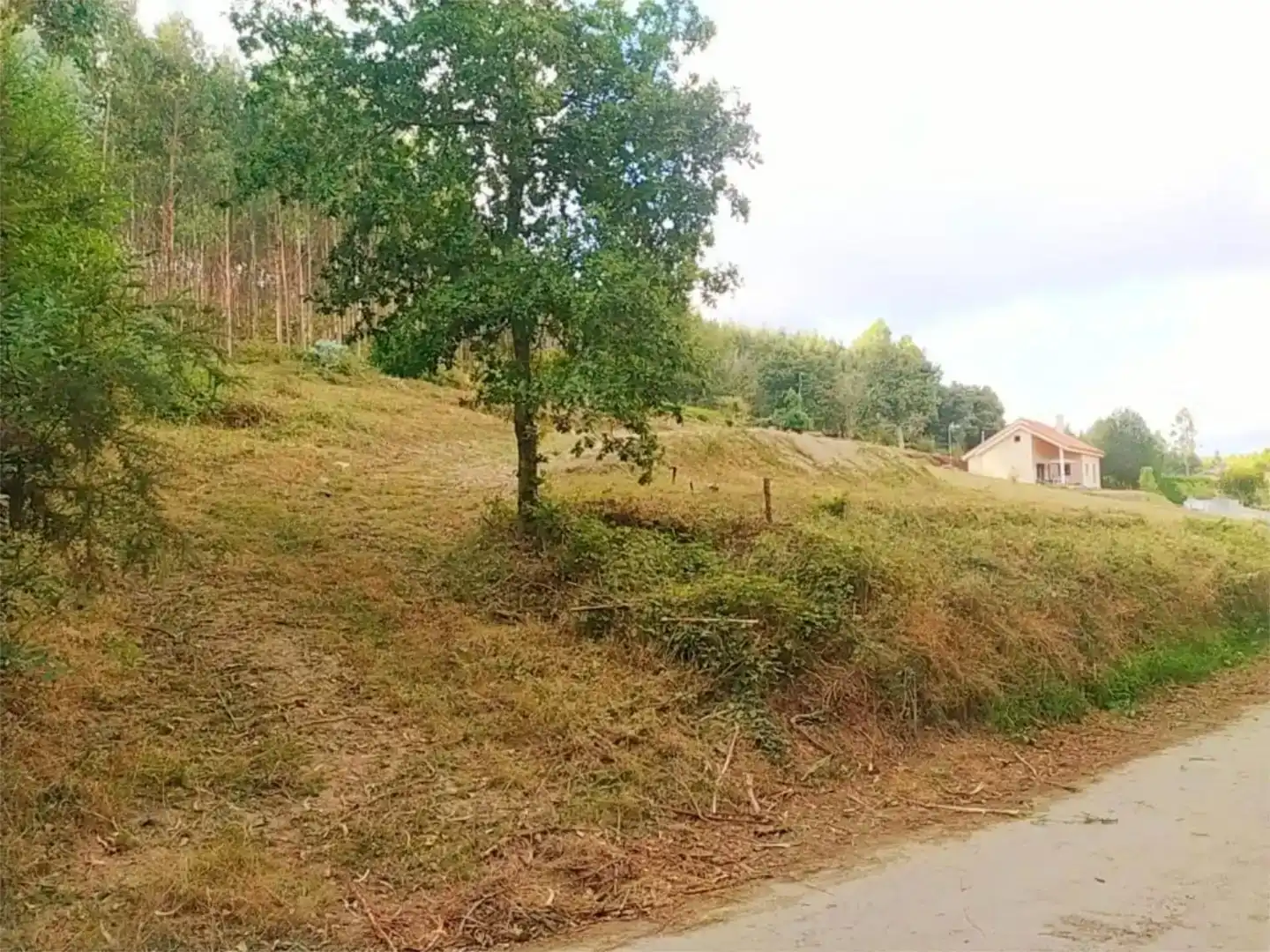 Terreno en venta en Cesuras