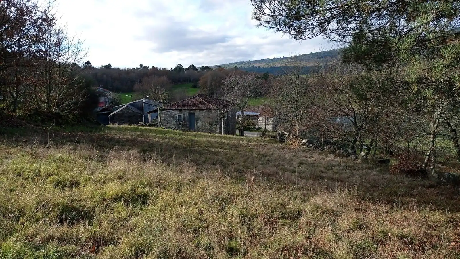 Casa amb jardí en venda a Piñor, imagen 9