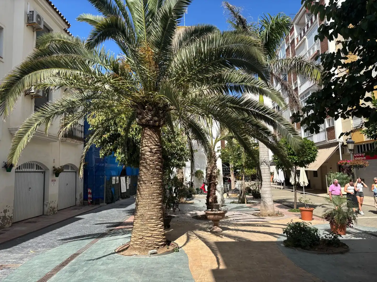 Locale commerciale in affitto a Estepona Pueblo, imagen 5