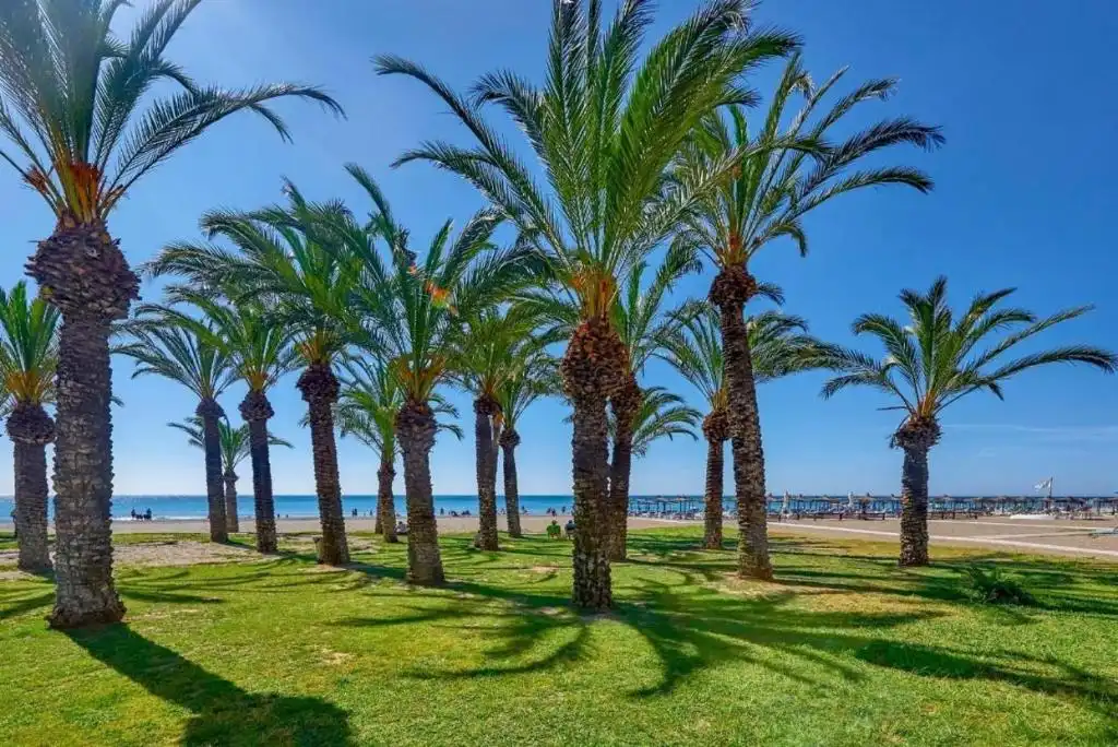 Studio à vendre à La Carihuela - Los Nidos, imagen 27