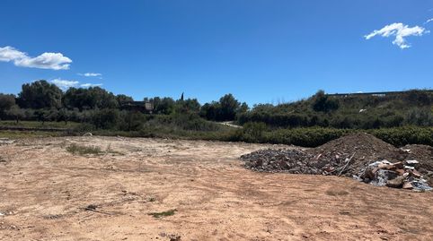 ESTUPENDA FINVA RÚSTICA EN VENTA, imatge 2