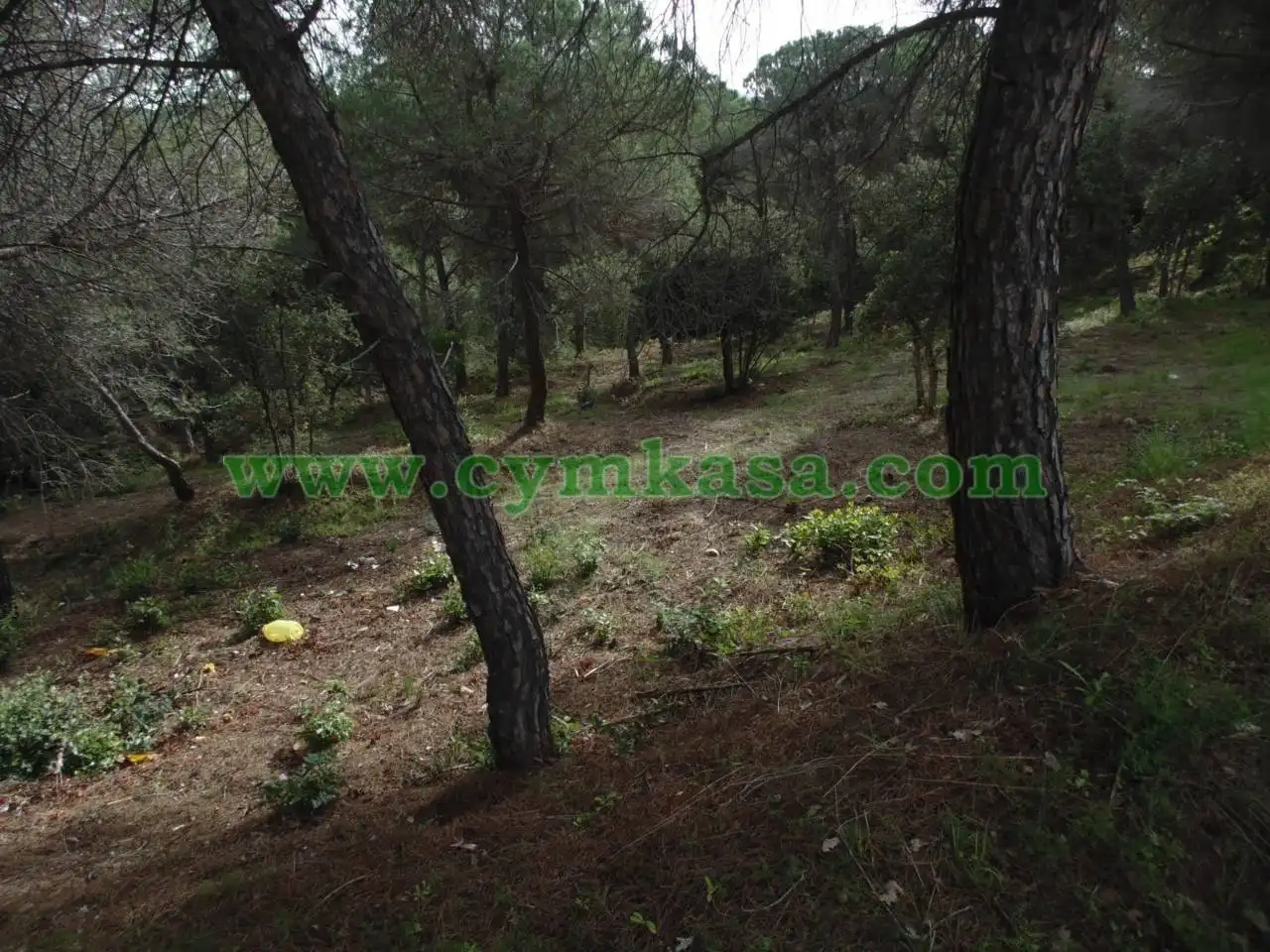 Terreno residencial en venta en Mas Mora - Sant Daniel, imagen 4