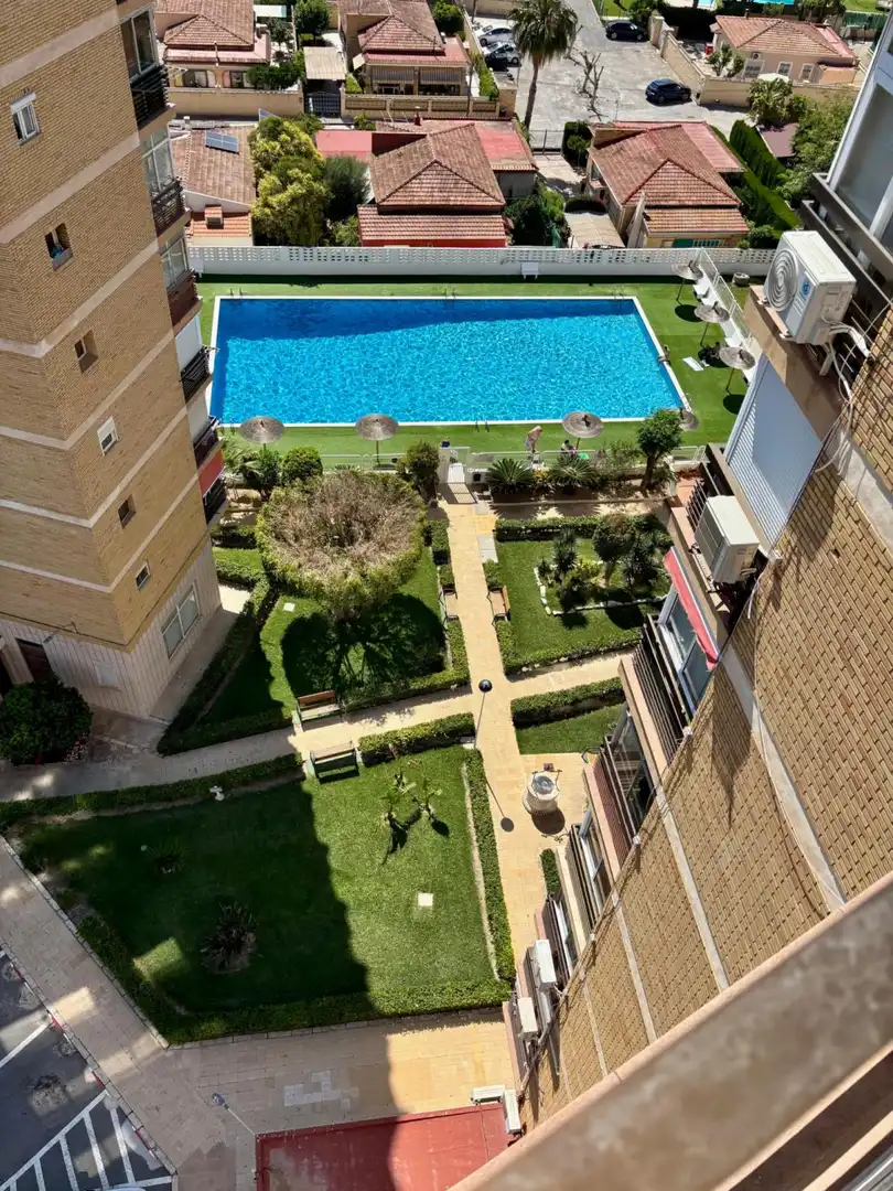 Apartments for rent in PAU 5