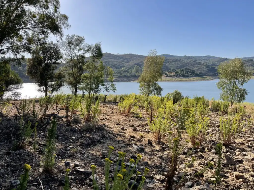 Country homes for sale in Castellar de la Frontera  with Private garden