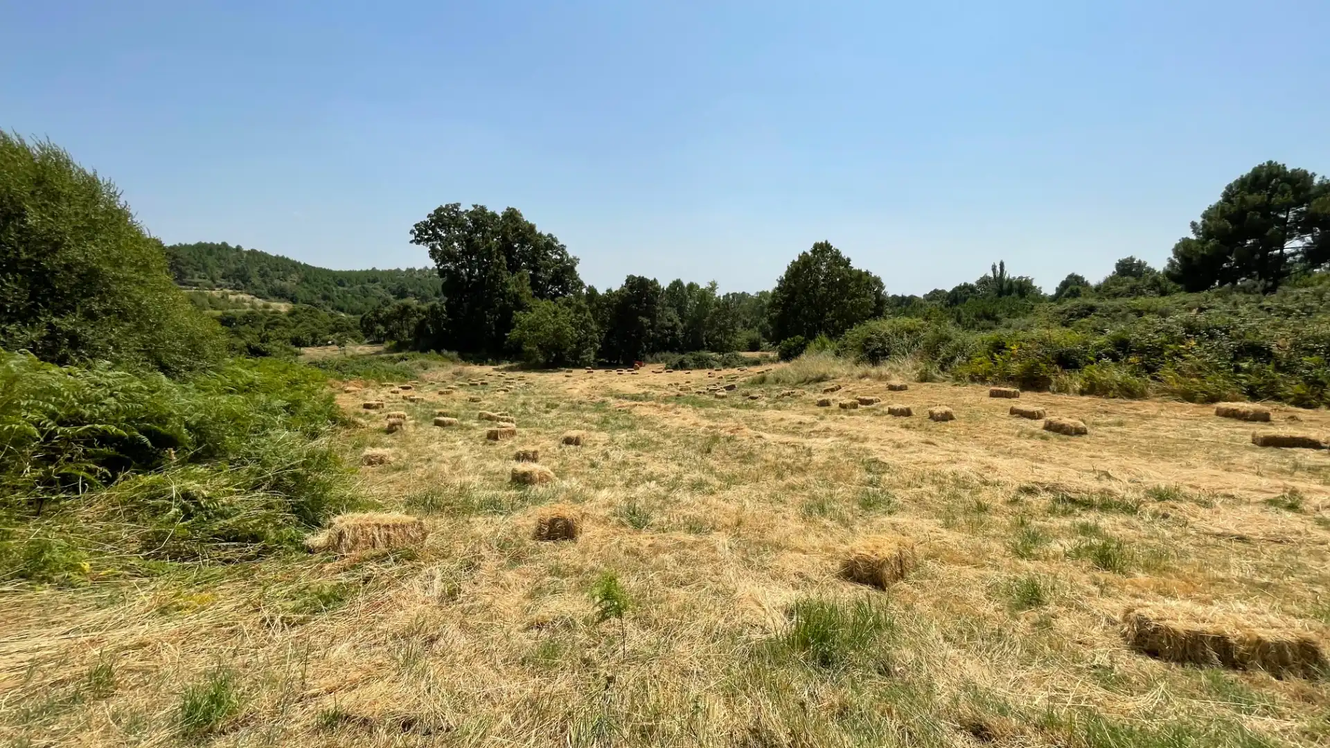 Grundstücke zum Verkauf in El Arenal 