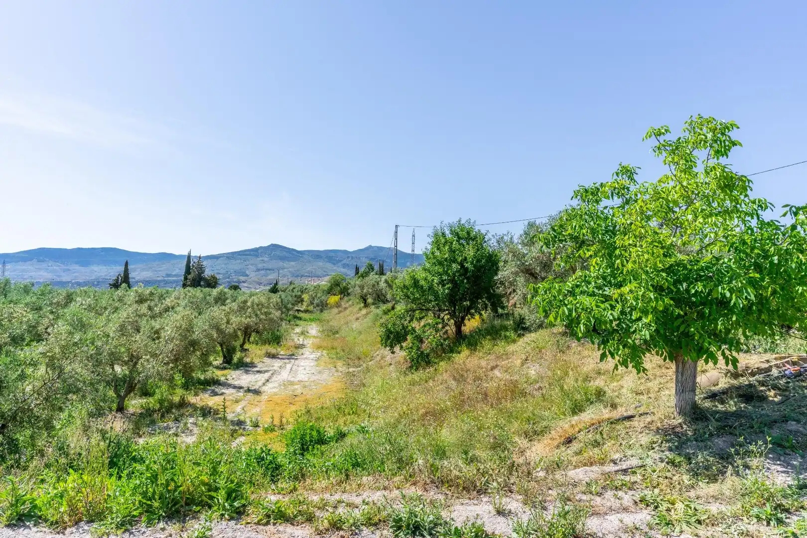 Terreno en venta en Tíjola