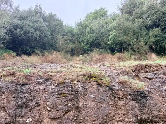 Terreno residencial en venta en Carrer les Pedritxes, imagen 20