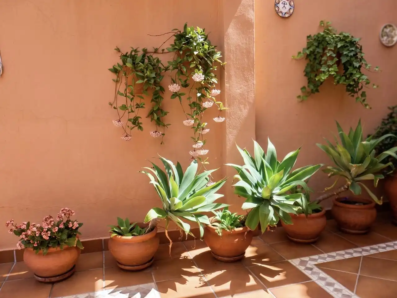 Terrassa de Casa adosada en venda en Coria del Río amb Aire condicionat, Jardí privat i Terrassa