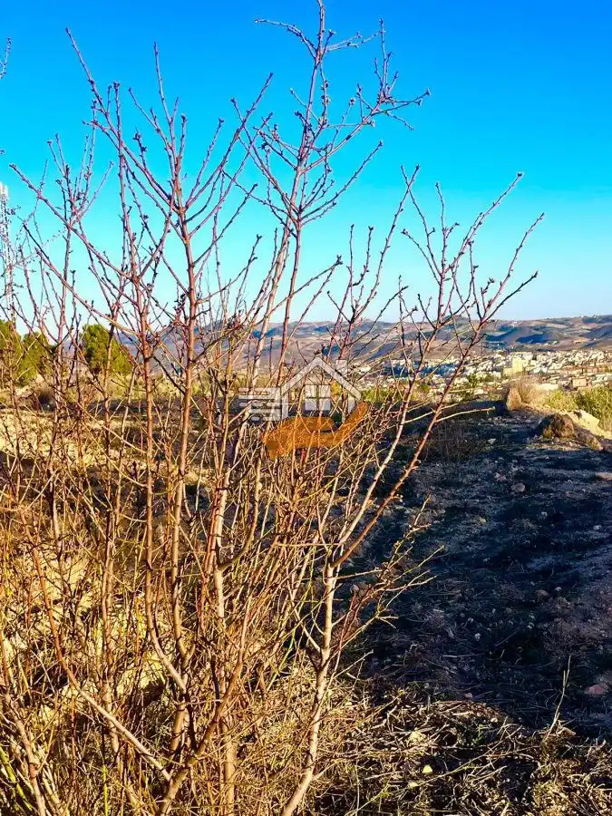 Residential land for sale in Vélez-Rubio, imagen 9