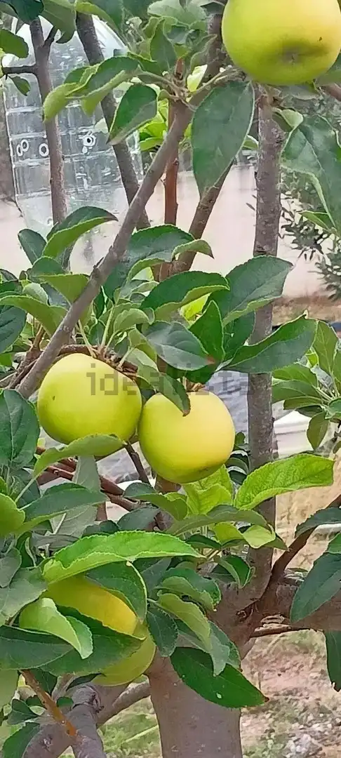 Terreno residenziale in vendita a La Huerta, imagen 13