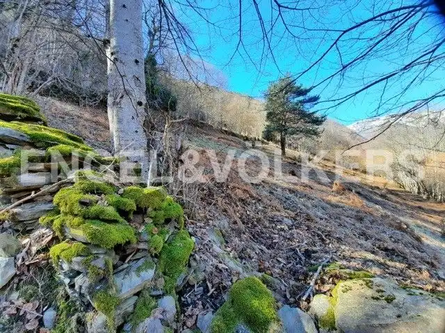 Rustikales Grundstück zum Verkauf in Canejan, imagen 7
