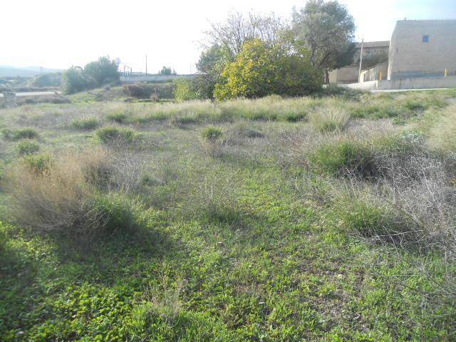 Terreno residencial en Venta en Partida El Paradero - Pol. 303 en Torrecilla de Valmadrid