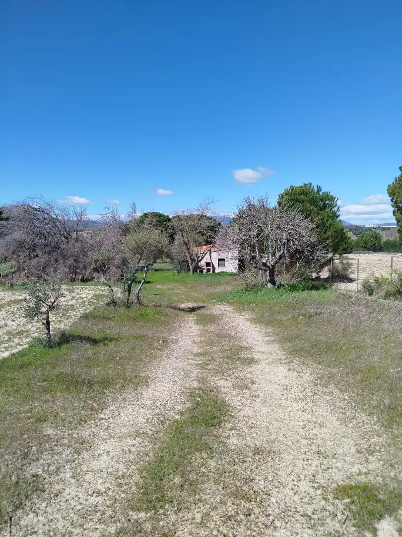Land for sale in Escalona