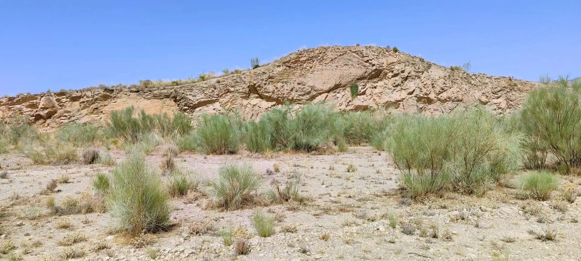Industrial land for sale in Olula del Río