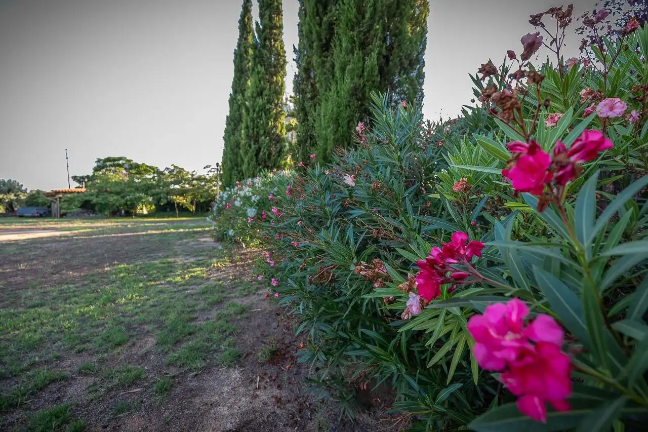 Maison rustique à vendre à Riudoms, imagen 39