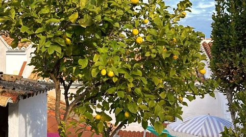 Foto 2 de Casa adosada en venta en Archidona, Málaga