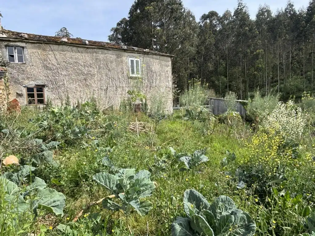 Casa o xalet en venda en Ortigueira amb Jardí privat i Balcó