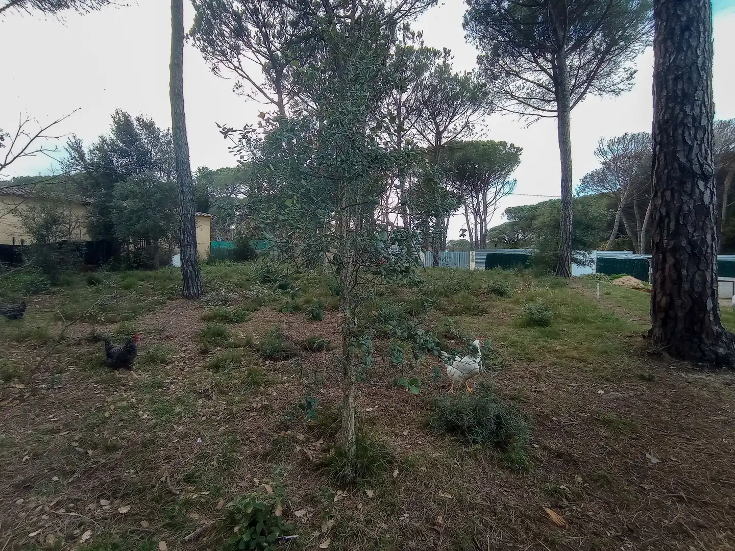 Terreny residencial en venda a Llagostera, imagen 9