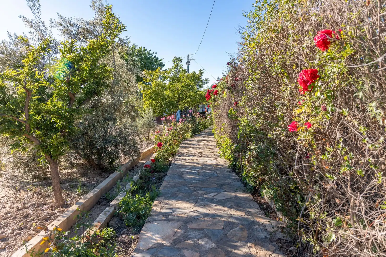 Vista exterior de Casa o xalet en venda en Guadix amb Aire condicionat, Calefacció i Jardí privat