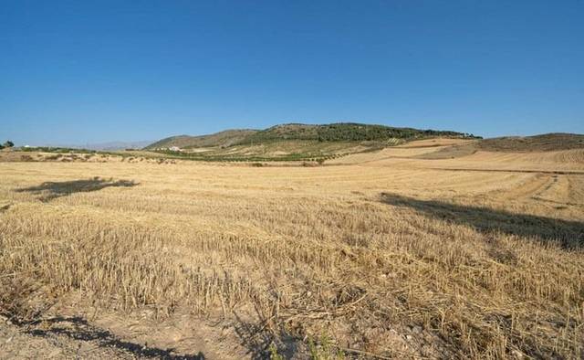 Finca rústica en Venta en  PUNTAL DEL PADUL en Dílar